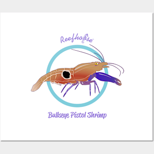 Bullseye Pistol Shrimp Posters and Art